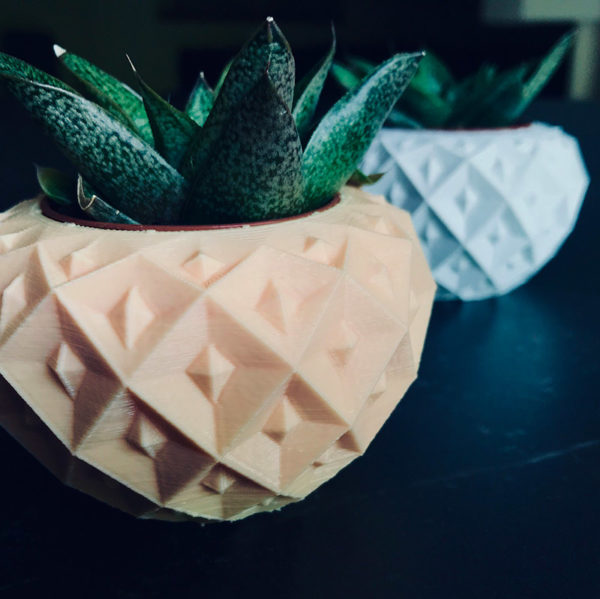 fraise-cache-pot-design-3D-1